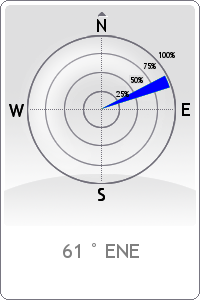 Wind rose