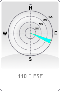 Wind rose