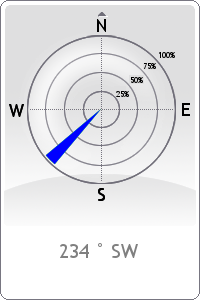 Wind rose