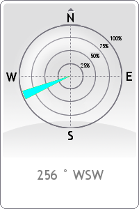 Wind rose