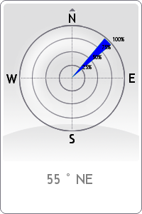 Wind rose