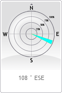 Wind rose