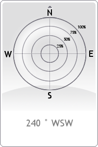 Wind rose