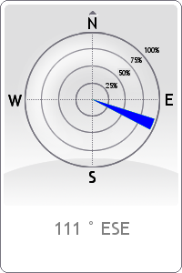 Wind rose