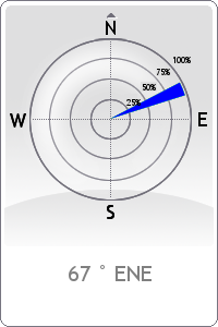 Wind rose